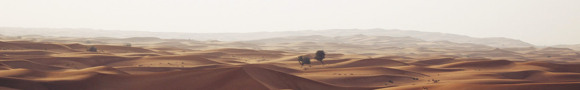 人ſƼ޹˾